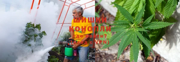 экстази Новодвинск