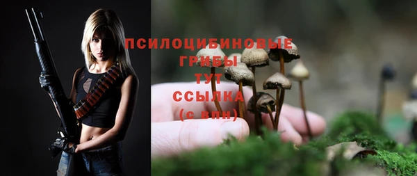 apvp Новокубанск